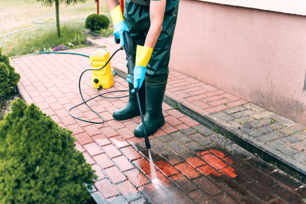 Best Fence Cleaning  in Parkers Prairie, MN